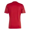 Adidas Team Icon 25 Match jersey