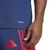 Adidas Squadra 25 Match jersey