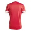 Adidas Squadra 25 Match jersey