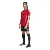 Adidas TIRO25 Competition Match jersey