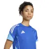 Adidas TIRO25 Competition Match Women's jersey