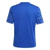 Adidas Team Icon 25 Match junior jersey