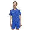 Adidas Team Icon 25 Match junior jersey