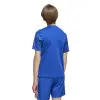 Adidas Team Icon 25 Match junior jersey