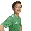 Adidas Team Icon 25 Match junior jersey