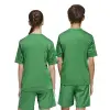 Adidas Team Icon 25 Match детска тениска