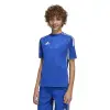 Adidas Tiro 25 Competition Match junior jersey