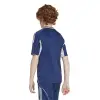 Adidas Tiro 25 Competition Match детска тениска