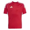 Adidas Tiro 25 Competition Match junior jersey