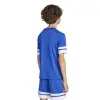 Adidas Squadra 25 Match детска тениска