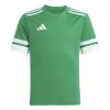 Adidas Squadra 25 Match junior jersey