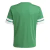 Adidas Squadra 25 Match junior jersey