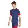 Adidas Squadra 25 Match детска тениска