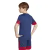 Adidas Squadra 25 Match junior jersey