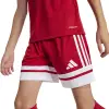 Adidas Squadra 25 Match junior jersey