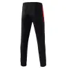 Erima Six Wings Worker pants